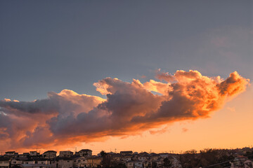 Fototapeta premium sunset in the city
