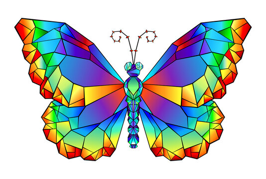 Rainbow polygonal butterfly