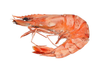 Cooked Tiger Prawn, Isolated against white background
