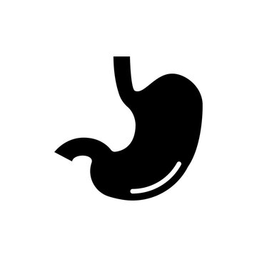 stomach icon design vector template
