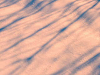 Shadows  and patterns  in the snow