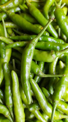 Green Thai chile peppers vary in size and shape, depending on the specific variety, and are generally small, conical, and slender, tapering to a point on the non-stem end.