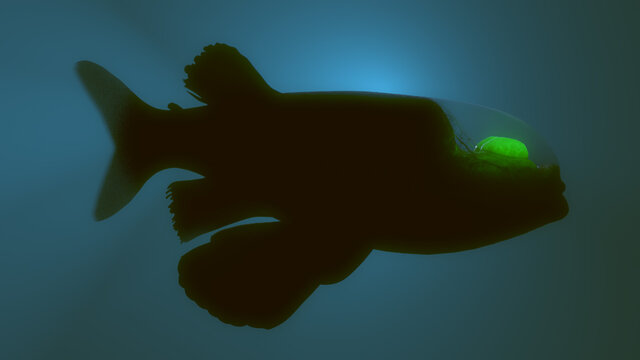 Deep Sea Barreleye Fish, 3D rendered