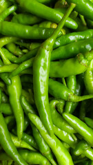 Green Thai chile peppers vary in size and shape, depending on the specific variety, and are generally small, conical, and slender, tapering to a point on the non-stem end.