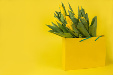 Yellow tulips in a gift bag on a yellow background. Postcard on March 8, Mother's Day, birthday. Flower delivery. Flower Shop. Space for text