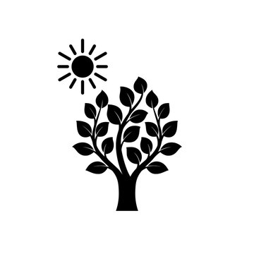 Tree with sun icon isolated on white background