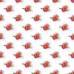 rosebud seamless pattern. head of rose bloom isolated on white pattern, pop art