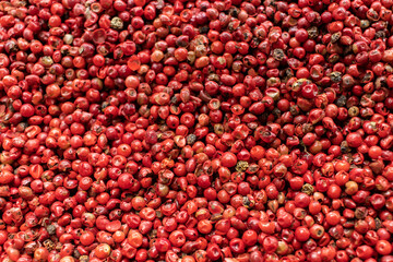 Dried red peppercorns. Texture background. Dry pepper spice.