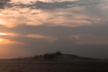 Beach Sand Dune