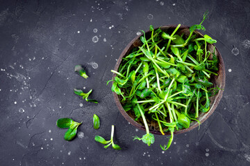  Fresh microgreens for salad in a bowl top view