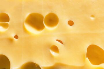 Texture of tasty cheese as background
