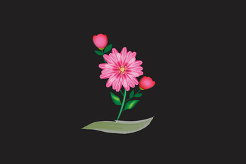 Pink gerbera blossom flower beautiful watercolor  image vector design template on black background