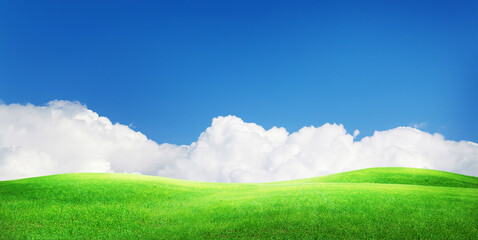 Green grass field and sunny sky with clouds