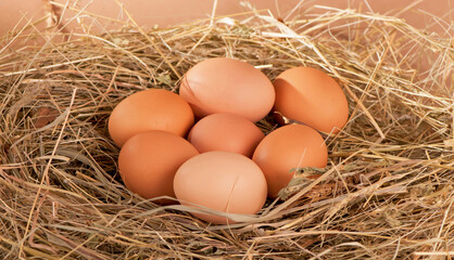 pile of brown chicken eggs in a nest