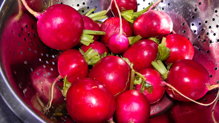 Freshly harvested radishes in a metal saucepan, ready to cook.