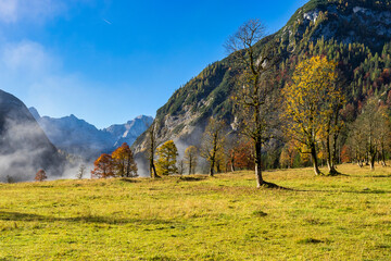 Fototapeta na wymiar maple trees at Ahornboden, Karwendel mountains, Tyrol, Austria