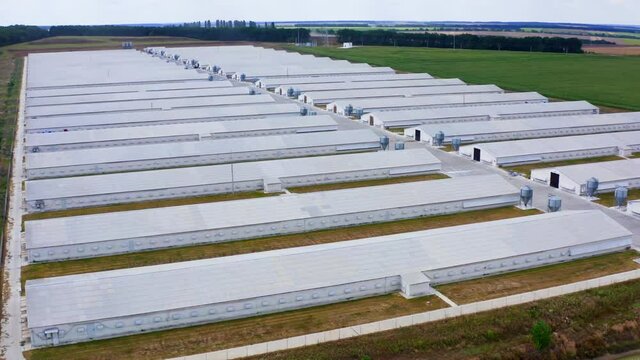 Prefabricated farm building in a green field. Many industrial buildings in rural area. View from above on white roofs of poltry farm.