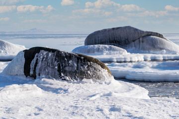 Snow-white ice floes and frozen rocks sticking out of the sea on a frosty sunny day.