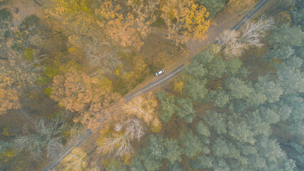 Beautiful autumn forest from above. Aerial view