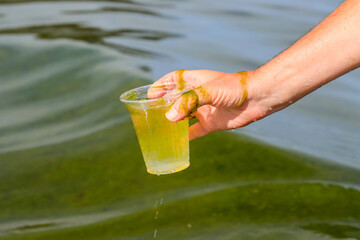Global pollution of environment. A man collects green water with algae for analysis. Water bloom,...