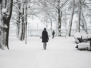 Fototapeta na wymiar Winter walk in the park