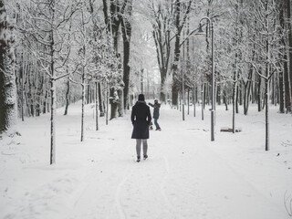 Winter walk in the park