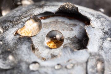 Blueberries with water drops, super macro, Focus stacking