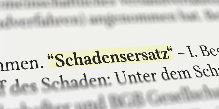 Schadensersatz im Buch mit Textmarker markiert
