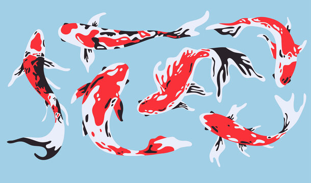 Isolated Japanese koi fish collection . Set of various exotic asian creatures. Abstract swimming animals, culture symbol, cartoon clipart.