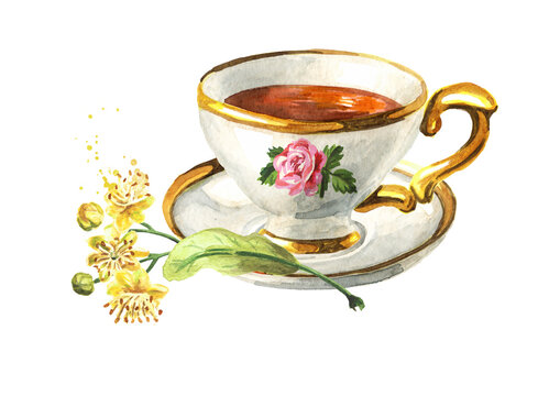 Cup of herbal linden tea with bunch of fresh linden flowers. Hand drawn watercolor illustration isolated on white background