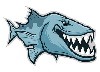 Cartoon funny smiling barracuda