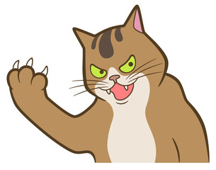 Funny evil cat