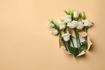Beautiful white roses through beige paper hole