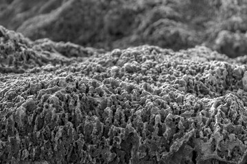 Close up of lava rock near the Mediterranean Sea in Israel