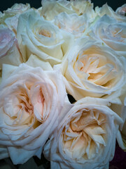 White roses tender bouquet close-up 