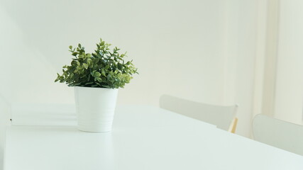 interior,flower,white,green,cafe decor,table,light,shade,shadow,room,living,pot,flower,