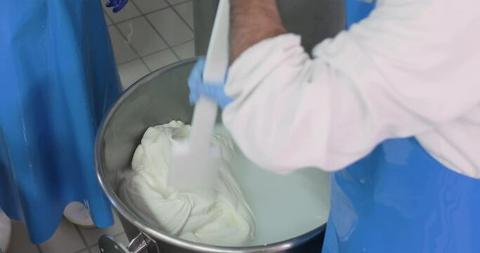 Produzione mozzarelle di bufala campana