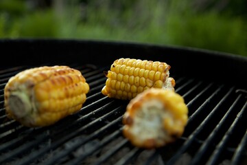 Corn on the grill
