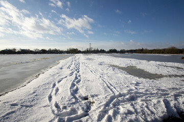 Tracks in snow across a frozen flooded field