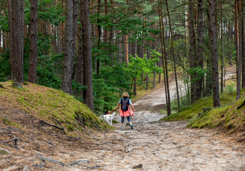 A forest road among the fragrances of pines on the Vistula Spit between Jantar and Stegna. Poland