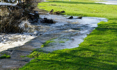Floodwater flowing over a river bank