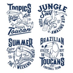 Tshirt prints with toucan vector mascots for football team and summer apparel design. T shirt prints with typography and tropical birds isolated emblems or labels with toucans on white background