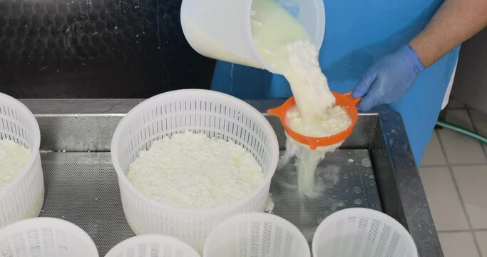 Produzione ricotta di capra fresca