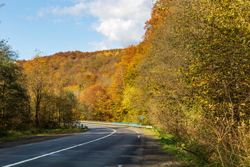 Autumn mountain landscape - yellowed and reddened autumn trees combined with green needles on the side of a small road. Colorful autumn landscape scene in the Ukrainian Carpathians.