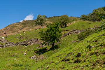 Yorkshire Dales landscape at the Gunnerside Gill, North Yorkshire, England, UK