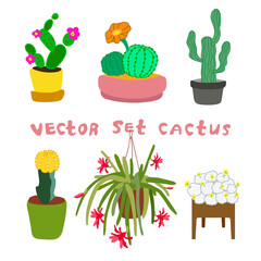 Set of cactus in the flat style.set of cacti on a white background.Vector collection of cactus.Green plant, flower and nature, floral and exotic. cacti on a white background. isolated flowers in pots