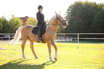 Young woman in equestrian suit riding horse outdoors on sunny day. Beautiful pet