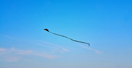 Black stunt kite flies in the blue sky.