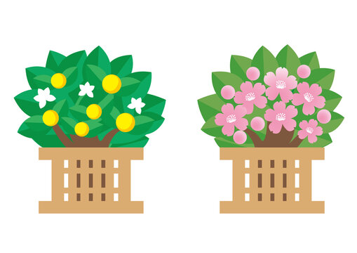 5 2 件の最適な 黄色い実 画像 ストック写真 ベクター Adobe Stock