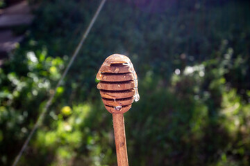 wooden spoon with honey in the woman's hand